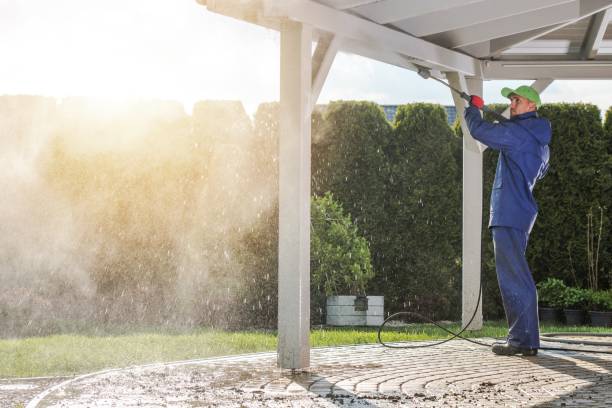 Best Patio and Deck Pressure Washing  in Arcola, TX