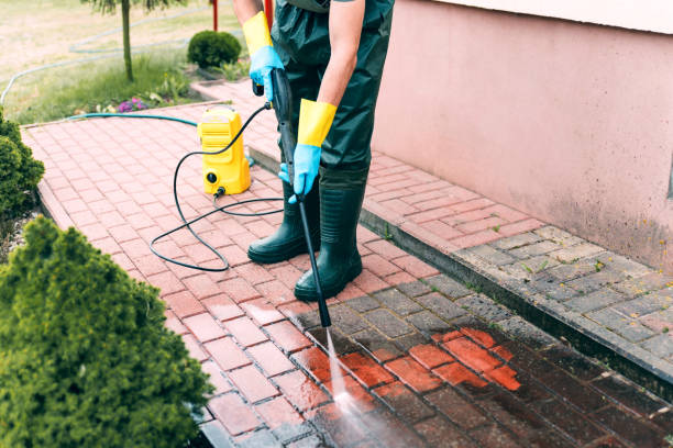 Reliable Arcola, TX Pressure Washing Services Solutions