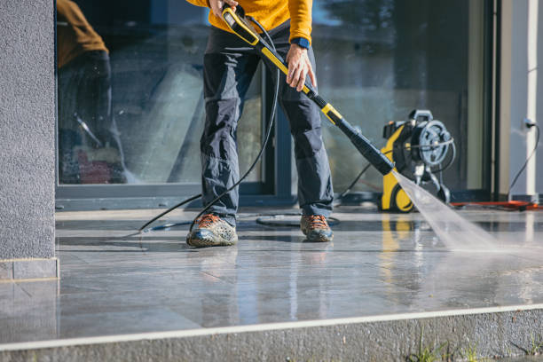 Best Solar Panel Cleaning  in Arcola, TX