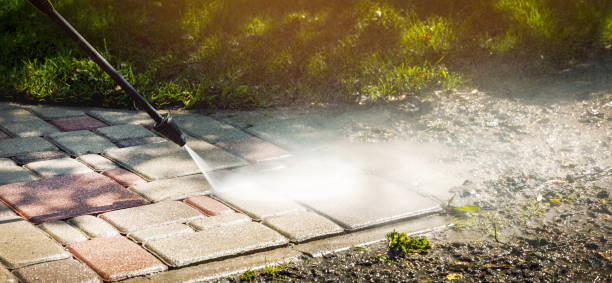 Best Gutter Cleaning  in Arcola, TX